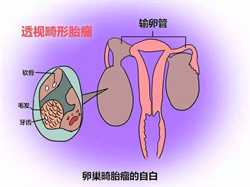 北京最高产代孕妈妈,北京第三代孕妇试管医院排名怎么样？试管婴儿机构名单