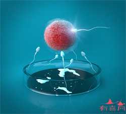 北京供卵试管一次成功吗，不排卵可以供卵吗